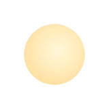 Round Glass LED Wall Lamp