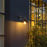 Vintage Industrial Iron Bowl Outdoor Wall Lamp LED 1-Light